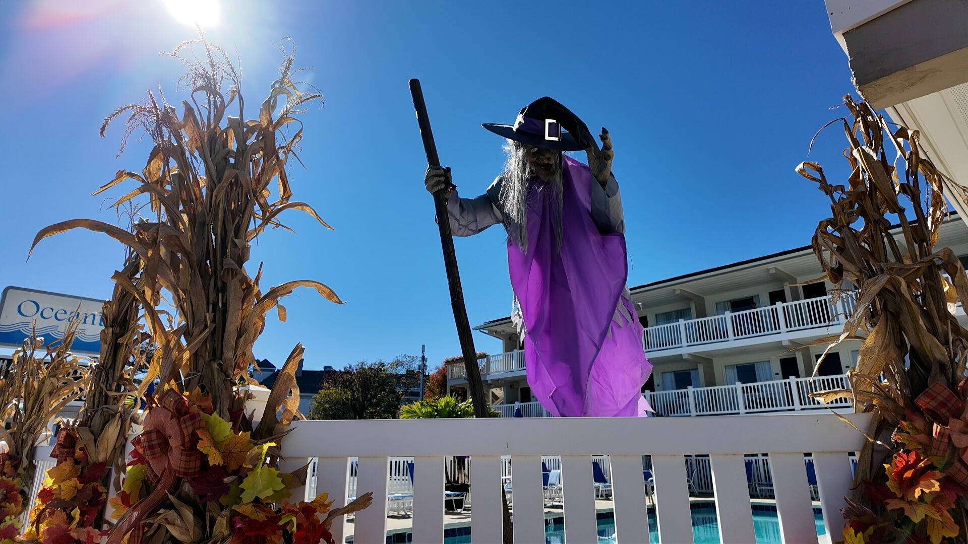 One Last Hurrah; Business Owners Anticipate Increased Sales with Festivals Along Delmarva's Coast